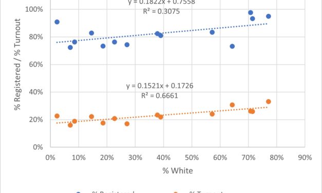 Demographics of Voter Turnout in the August 2022 Election